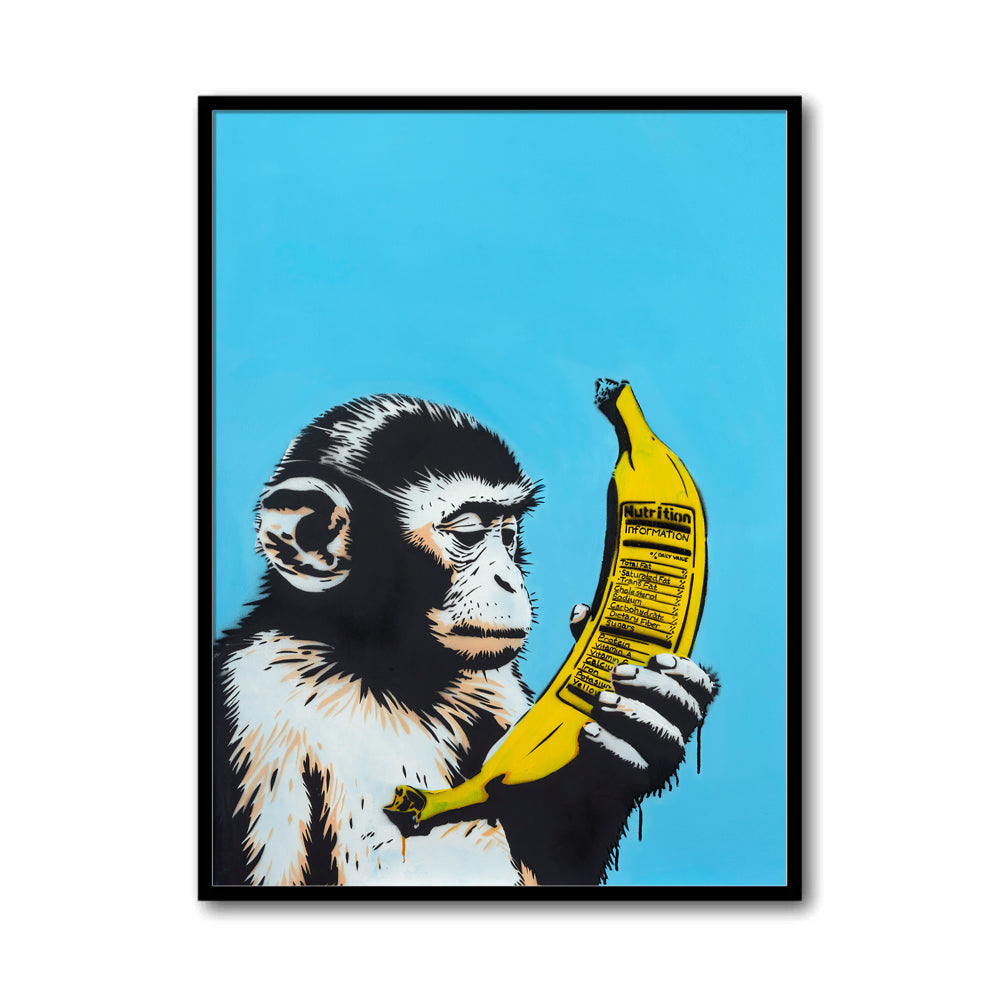 Zen Xander – Quantus